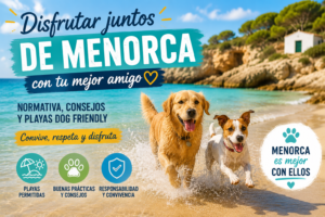Descubre la normativa para llevar perros a playas de Menorca, las diferencias con la costa y quién puede sancionarte realmente.