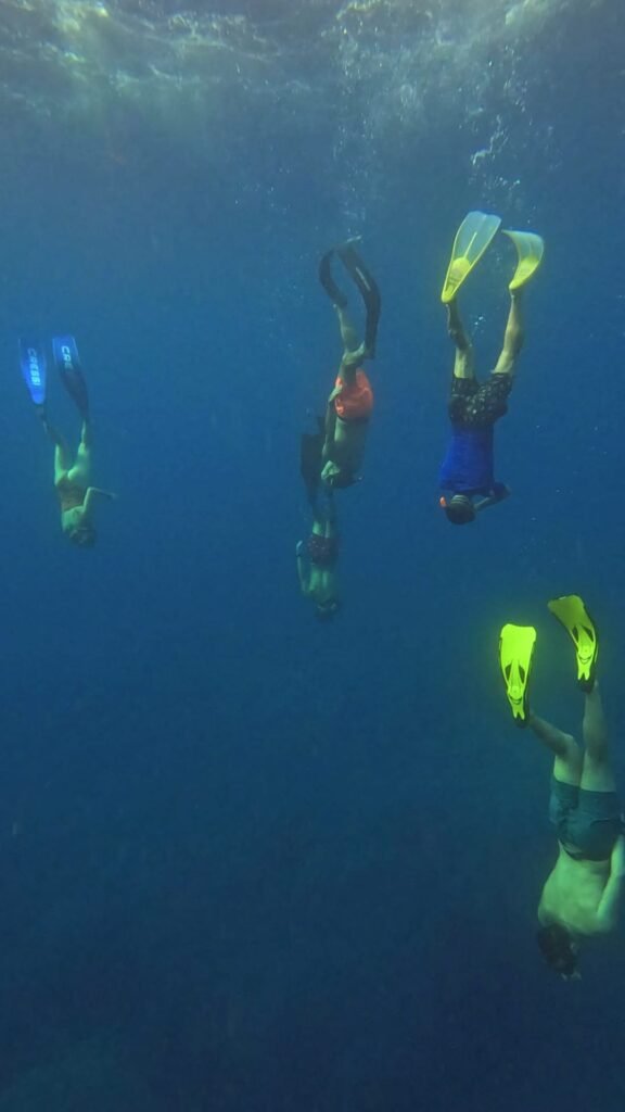 hacer inversiones en solitario es peligroso, la nueva normativa habla de ello Inmersión de varias personas en aguas de menorca
