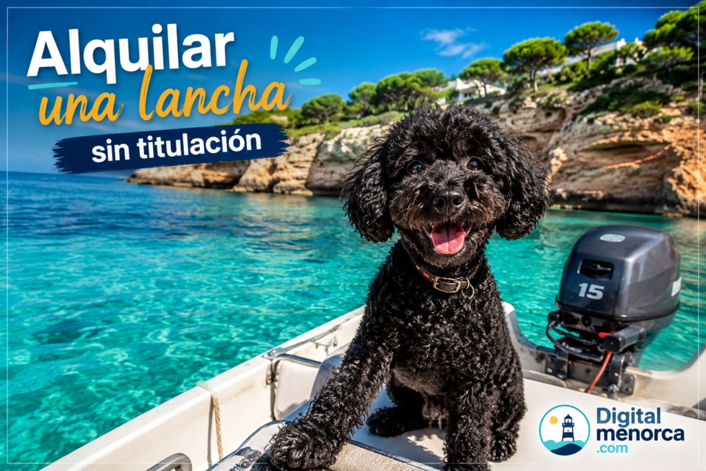 Descubre el paddle surf en Menorca: historia, tipos de tablas, mejores zonas, seguridad y consejos para disfrutarlo en familia.